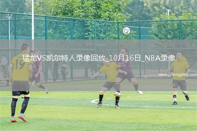 2025年10月16日NBA季前賽猛龍vs凱爾特人