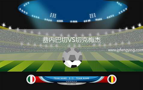 費(fèi)內(nèi)巴切VS切克梅杰