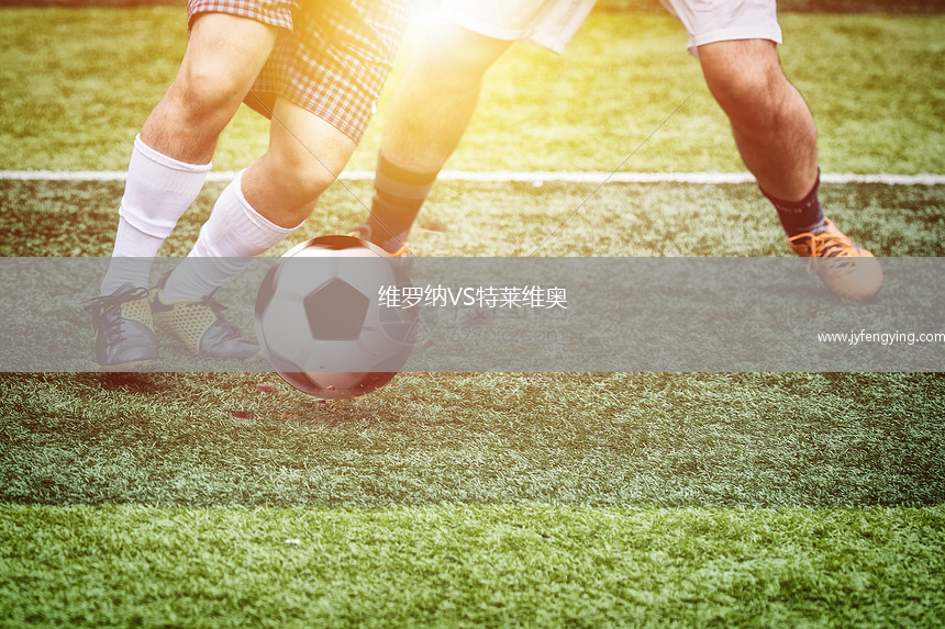 維羅納VS特萊維奧